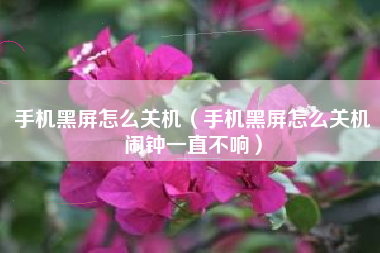 手机黑屏怎么关机（手机黑屏怎么关机闹钟一直不响）