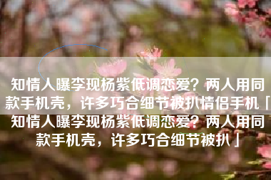 知情人曝李现杨紫低调恋爱？两人用同款手机壳，许多巧合细节被扒情侣手机「知情人曝李现杨紫低调恋爱？两人用同款手机壳，许多巧合细节被扒」