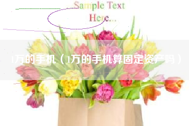 1万的手机（1万的手机算固定资产吗）