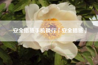 安全措施手机银行「安全措施」