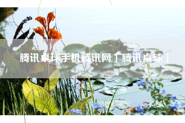 腾讯桌球手机腾讯网「腾讯桌球」