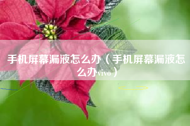手机屏幕漏液怎么办（手机屏幕漏液怎么办vivo）