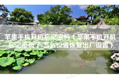 苹果手机开机忘记密码（苹果手机开机忘记密码了 怎么设置恢复出厂设置）