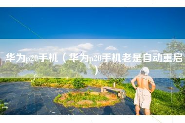 华为p20手机（华为p20手机老是自动重启）