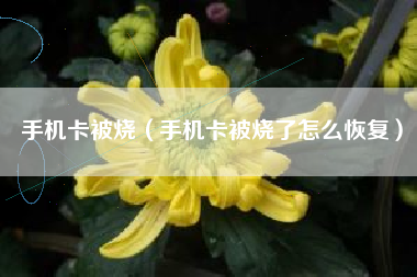 手机卡被烧（手机卡被烧了怎么恢复）