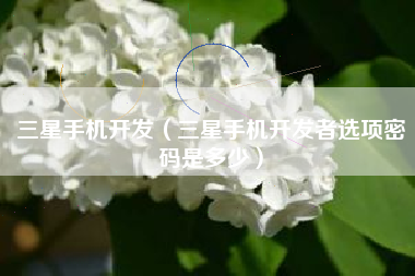 三星手机开发（三星手机开发者选项密码是多少）