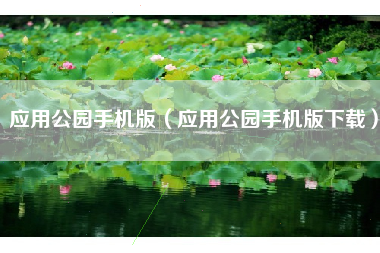 应用公园手机版（应用公园手机版下载）