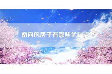 南向的房子有哪些优缺点？