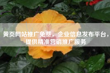 黄页网站推广免费，企业信息发布平台，提供精准营销推广服务