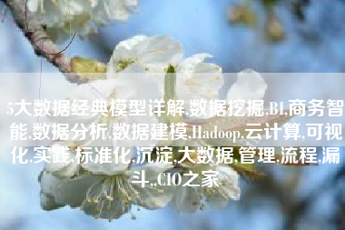 5大数据经典模型详解,数据挖掘,BI,商务智能,数据分析,数据建模,Hadoop,云计算,可视化,实践,标准化,沉淀,大数据,管理,流程,漏斗,,CIO之家
