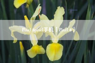 Pixel 6pixel手机「Pixel 6」