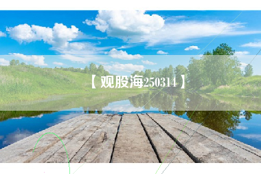 【观股海250314】
