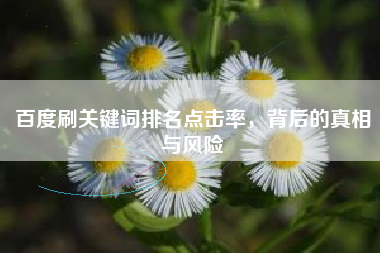 百度刷关键词排名点击率，背后的真相与风险