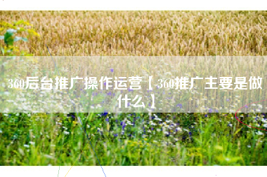 360后台推广操作运营【360推广主要是做什么】