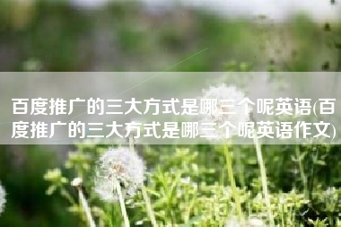 百度推广的三大方式是哪三个呢英语(百度推广的三大方式是哪三个呢英语作文)